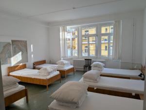 a room with three beds and a window at Black Forest Hostel in Freiburg im Breisgau