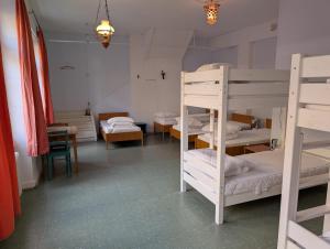 a room with two bunk beds and a table at Black Forest Hostel in Freiburg im Breisgau +4 photos