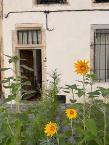 a garden with yellow flowers in front of a building at Maison Rinette in Dijon