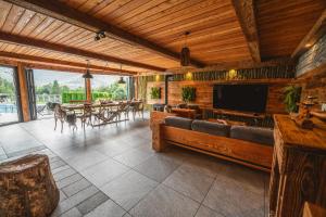 a living room with a couch and a television at Dom Beskidy in Brenna