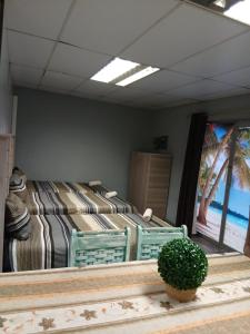 a bedroom with a bed and a potted plant at Platinum Guesthouse in Klerksdorp