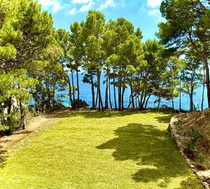 a field of grass with trees and the ocean at Ripea Suites - Sul Mare in Montecorice
