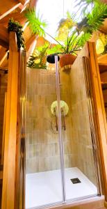 a shower in a room with plants on the wall at Les 7 Montagnes in Lourdes +25 photos