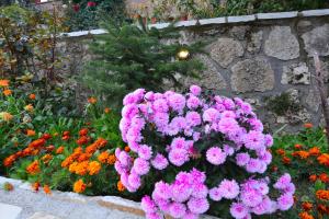 Vonkajšia záhrada v ubytovaní Italiano Bed & Breakfast