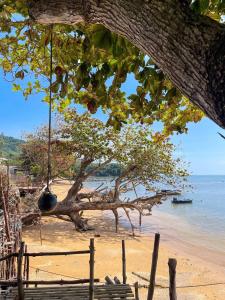 a swing hanging from a tree on a beach at Libong haven in Ko Kwang