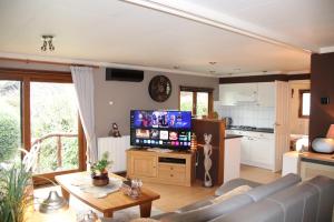 a living room with a couch and a tv at Veluwe Park Reewold Chalet Infinity in Putten