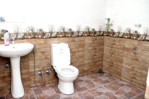 a bathroom with a toilet and a sink at Riverside Bliss Cottage in Demodera