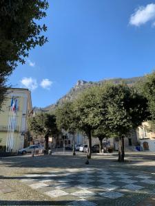 two trees in a square with a mountain in the background at Domus Serena in Venafro