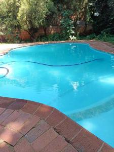 a large blue swimming pool on a brick floor at Matte Guest House in Potchefstroom