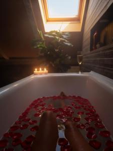 a bath tub filled with lots of red hearts at Laci Lak in Oradea +23 photos