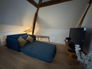 a living room with a blue couch and a tv at Rustique Chic proche centre-ville in Clermont