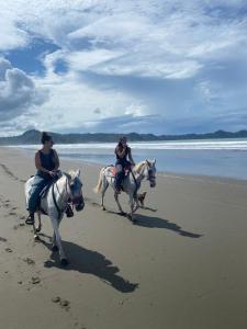 two people riding horses on the beach with a dog at Miguel Surf Camp in Quepos