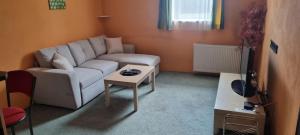 a living room with a couch and a table at Apartmán u Milana v Pisku in Písek