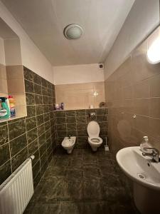 a bathroom with a toilet and a sink at Apartmán u Milana v Pisku in Písek