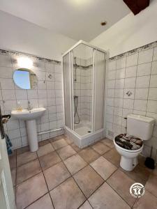 a bathroom with a shower and a toilet and a sink at Domaine de la calm in Villardonnel +14 photos
