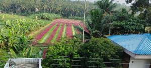 Gallery image of Murari in Kovalam