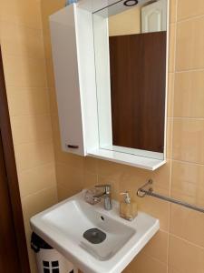 a bathroom with a white sink and a mirror at Apartman Fenjer in Zagreb +83 photos