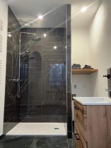a shower with a glass door in a bathroom at Pension zum Kanal in Burg bei Magdeburg +23 photos