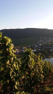 Blick auf die Stadt und einen Fluss mit Bäumen in der Unterkunft Gästehaus-Weingut Michael Scholer in Schleich