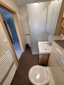a bathroom with a white toilet and a sink at Ferienwohnung-Gerti in Uderns +16 photos