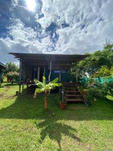 a small house with a palm tree in front of it at Studio Sunset Rapa Nui in Hanga Roa