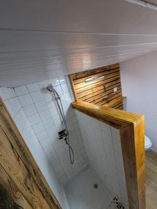 a bathroom with a shower and a toilet at Chambre d'hôtes Chalet AILLEURS in Molines-en-Queyras +32 photos