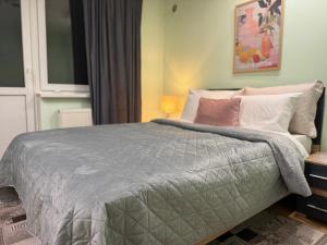 a bedroom with a bed with a gray comforter and pillows at Odessa Guest House-City Center in Chişinău