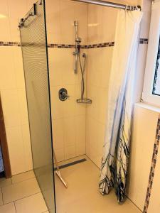 a shower with a glass door in a bathroom at Movika in Neef