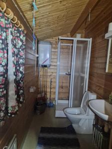 a bathroom with a toilet and a shower and a sink at Lidens Stugby in Vaggeryd