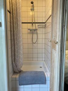 a bathroom with a shower with a bath tub at B&B Herengracht 21 in Amsterdam