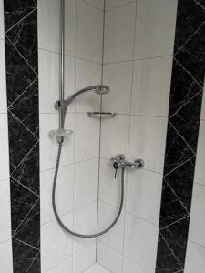 a shower with a shower head in a bathroom at Red Dot Apartment Bruno in Werne an der Lippe