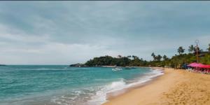 a beach with palm trees and the ocean at skymirror unawatuna in Unawatuna