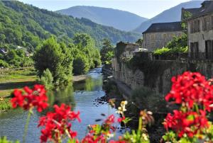 a river with buildings and red flowers in the foreground at Les pieds dans Lot in Saint-Geniez-dʼOlt