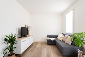 a living room with a couch and a tv at Dama Apartments in San Vito di Leguzzano