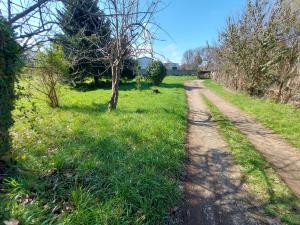 a dirt road in a field with trees and grass at Sendero de Luna in Valdivia