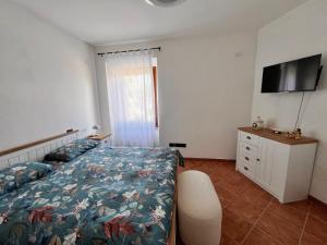 a bedroom with a bed and a tv on the wall at Casa Nausicaa in Pergine Valsugana