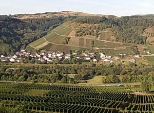 an aerial view of a village in a vineyard at Gästehaus-Weingut Michael Scholer in Schleich