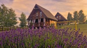 a house with purple flowers in front of it at Cichosza Miłomłyn in Miłomłyn +7 photos
