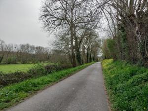 a road with trees on the side of a field at Gîte La Buhennerie 2 personnes in Longues-sur-Mer