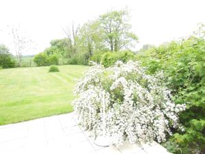 a bush with white flowers in a yard at Gîte La Buhennerie 2 personnes in Longues-sur-Mer