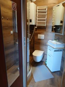 a bathroom with a shower and a toilet and a sink at Biedronka- samodzielny apartament dla 3 osób z miejscem parkingowym in Sopot +4 photos