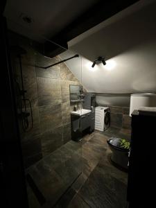 a bathroom with a shower and a toilet and a sink at Wellness & Spa Zaprešić in Jablanovec +13 photos