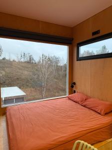 a bedroom with a bed and a large window at Дзеркальний будинок Botan in Malaya Bugayevka
