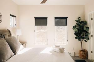 a bedroom with a bed and a plant and windows at Lakefront - Trails - Skiing - Views - Georgetown in Georgetown