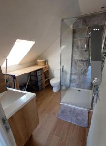 a bathroom with a shower with a toilet and a desk at Maison de 50m2 à la campagne in Pirmil