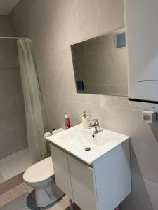 a bathroom with a sink and a toilet and a mirror at L'Appart Chaleur in Oyonnax