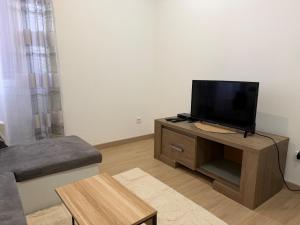 a living room with a flat screen tv on a table at L'Appart Chaleur in Oyonnax