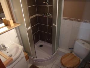 a bathroom with a shower and a toilet and a sink at Les Granges in Villars +27 photos