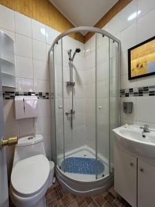a bathroom with a shower and a toilet and a sink at Residencial Mar y Sol in Laraquete