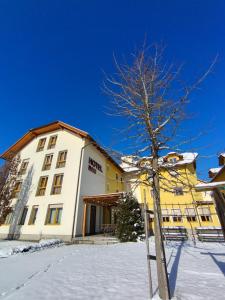 a building with a tree in the snow at Hotel Bau Maribor in Maribor